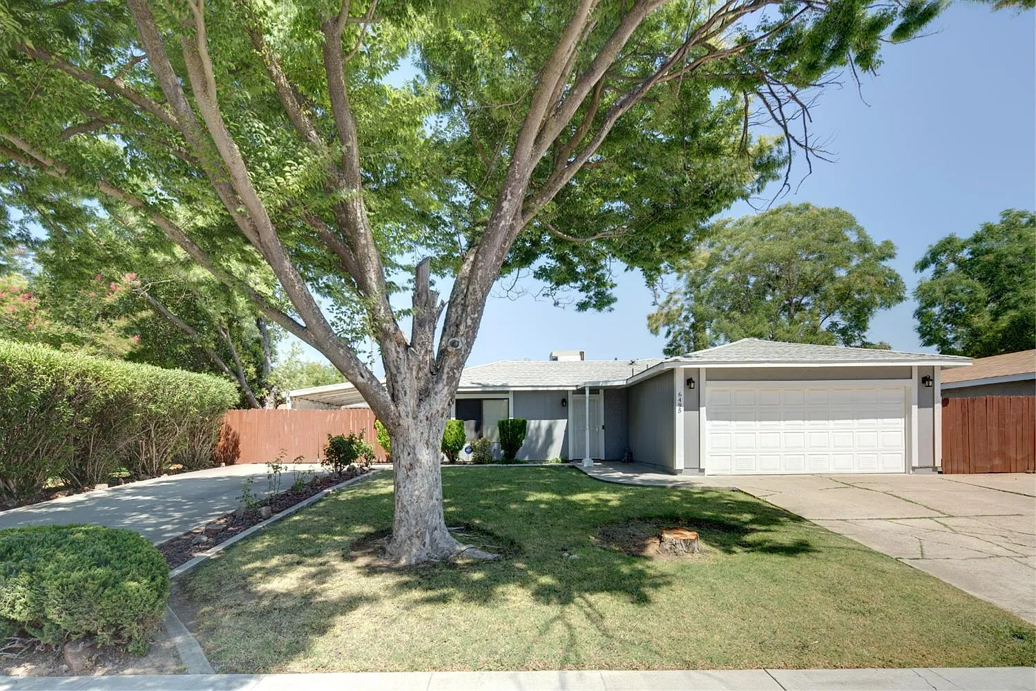 6495 Hitchcock Way photo 1