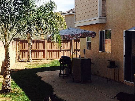 Beautiful Queen Palm Trees