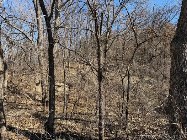 Martin Luther King Ave, Hominy, OK 74035