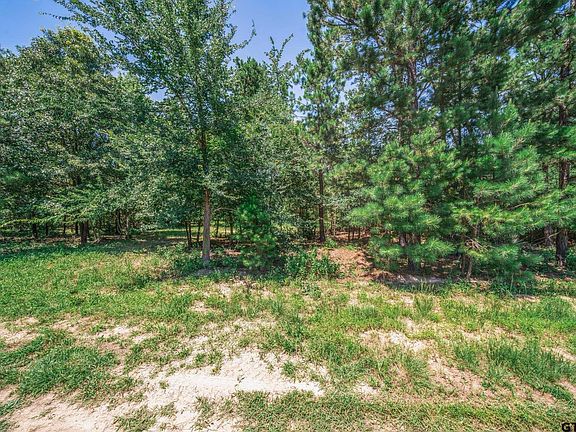 4th image of 23275 County Road 244 Tract 3