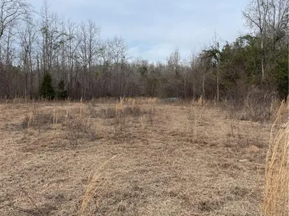 11 Blackbottom Rd, Seale, AL 36875