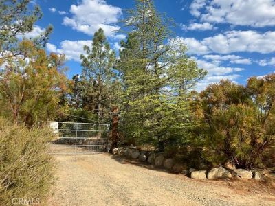 54468 Bautista Canyon Rd, Anza, CA, 92539