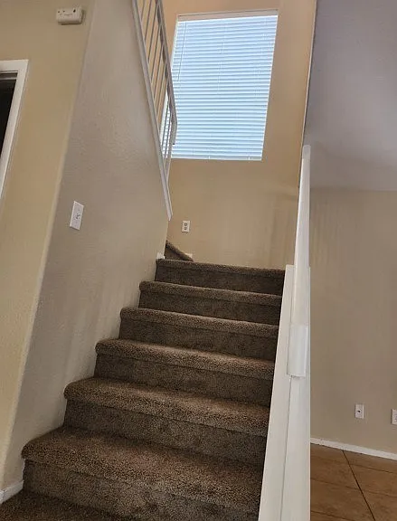 5724 Royal Castle Ln — Photo 13
