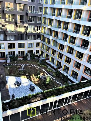 Rented by Rentopia | media 87