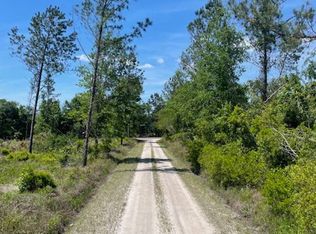 3 Jerusalem Church Rd, Early Branch, SC 29916