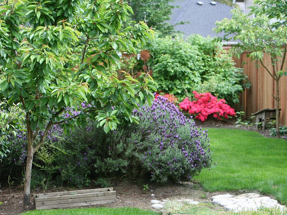 Side & Back Yard