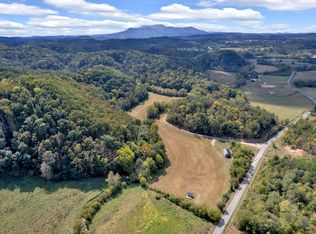 1155 Fowlers Grove Rd, Newport, TN 37821