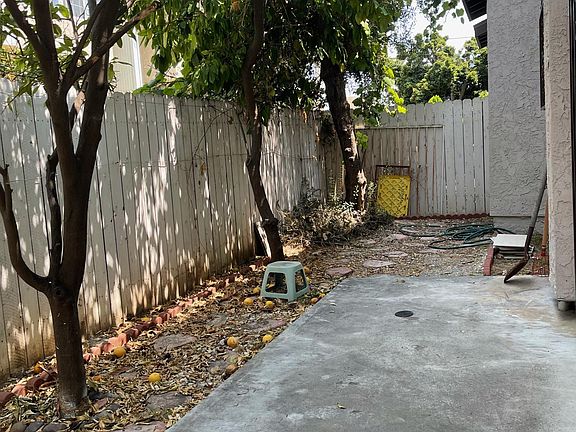 back yard/patio