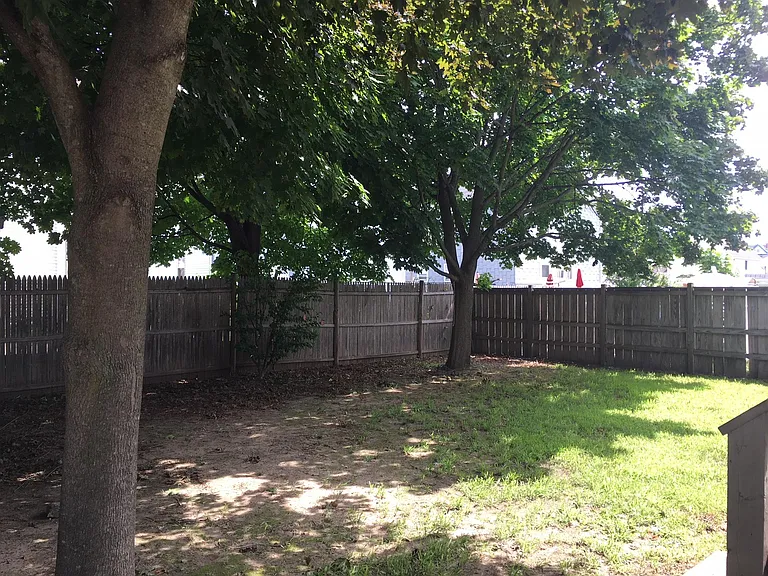 165 Avon St #A — Photo 6