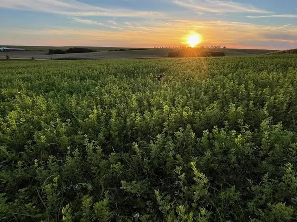 Lot 1 South Prairie Road, Mineral Point, WI 53565