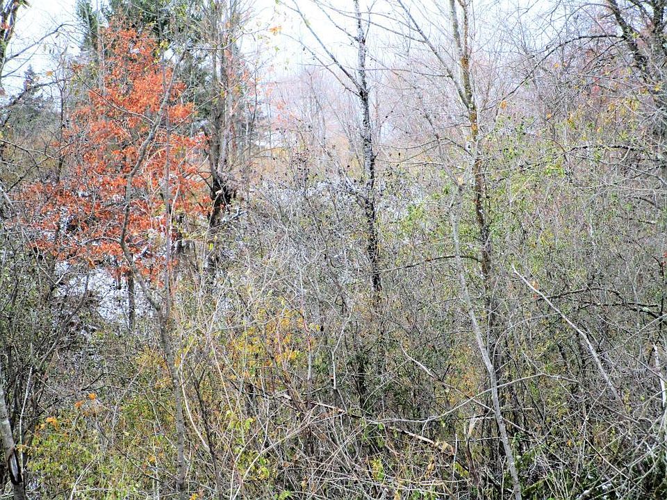 2nd image of 0 State Rd #35