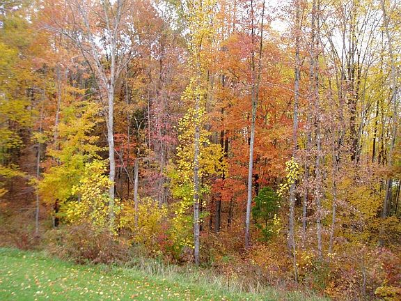 Back View from Deck 