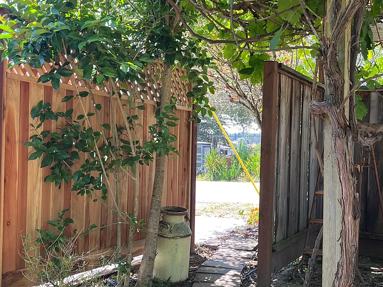 222 Manfre Rd #B — Photo 5