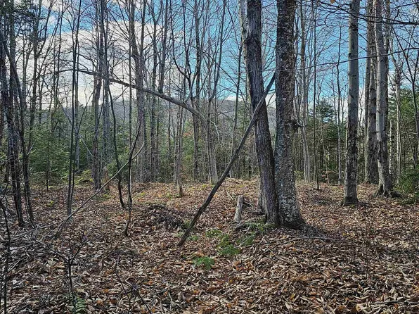 Lot 28 Knowles Hill Road, Alexandria, NH 03222