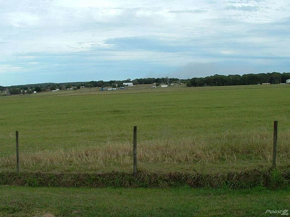 backyard view