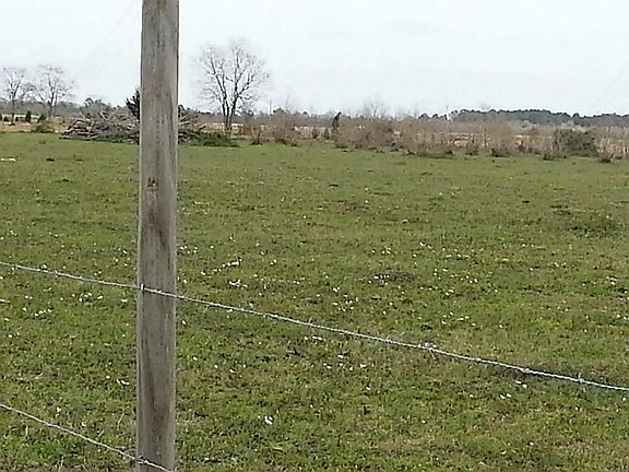 4th image of 4003 County Road 197