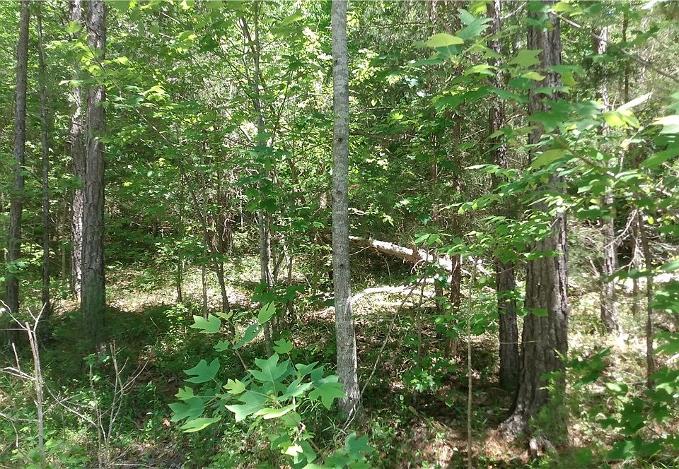 2nd image of LOT 28 Lake Breeze Rd
