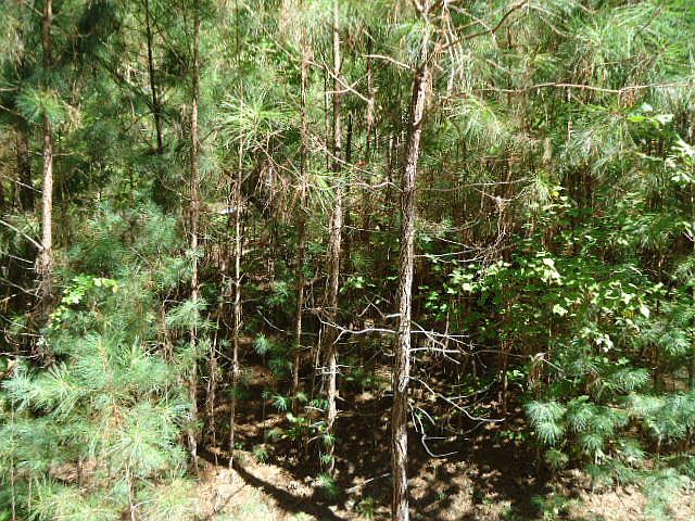 1st image of Lot 267 Breakwater Dr
