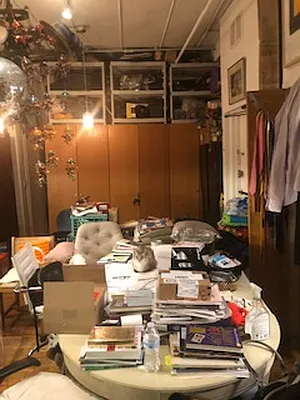 Rented by Ian Shapolsky Real Estate | media 46