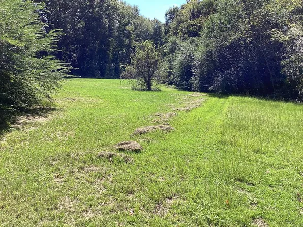 575 Adams Ln, Highland Home, AL 36041