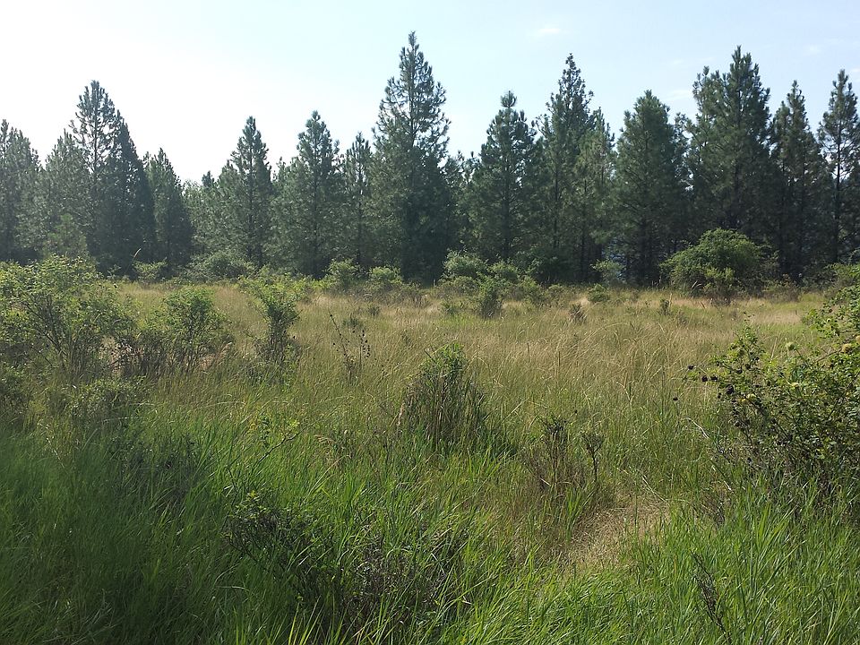 2nd image of Beautiful Bare Lot For Sale