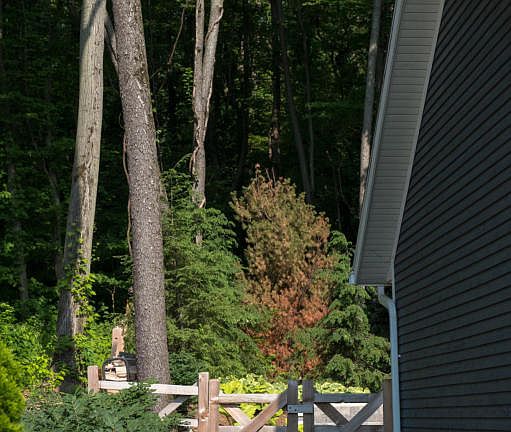 3rd image of 11058 Lake Shore Dr