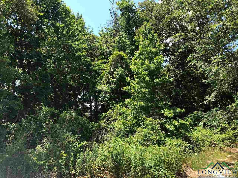 1st image of 35 Towering Oaks Ln