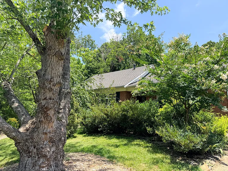 6900 Elm Forest Dr — Photo 32