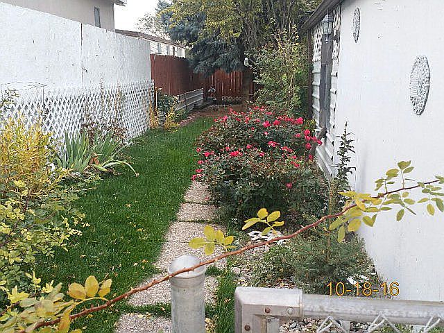 Sideyard 