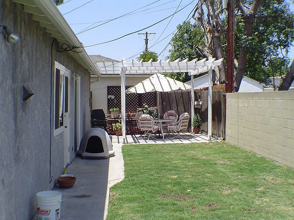 Back yard