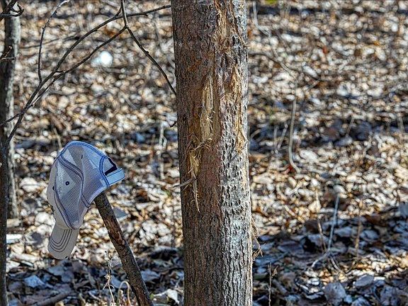 4th image of E17497 Gross Valley Lane