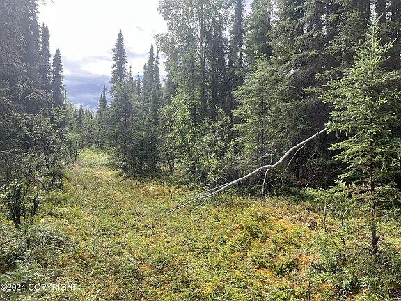 5th image of 36275 Ansel St N