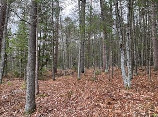 On W Forest Lake Rd LOT 5, Land O Lakes, WI 54540