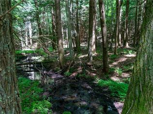 124 Eagles Ridge Way, Parksville, NY 12768