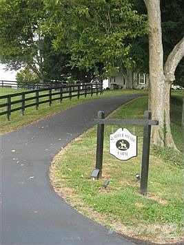 The name says it all... the lovely trees that surround this wonderful residence that will welcome an