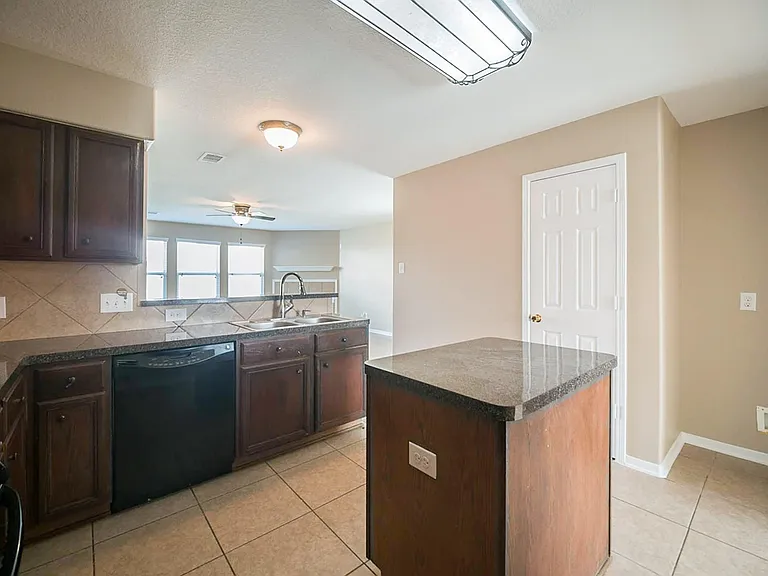 17806 Deep Shade Ct — Photo 3