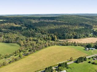 1046 Page Brook Rd, Whitney Point, NY 13862