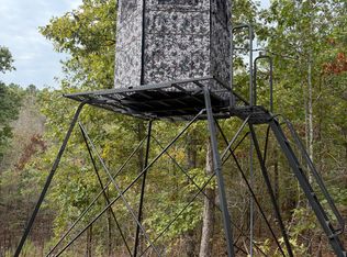 000 Briar Ridge Lane, Winona, MO 65588