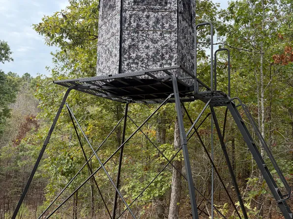 000 Briar Ridge Lane, Winona, MO 65588