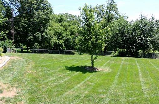 Fenced Backyard