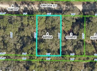 0 Snyder St, Webster, FL 33597