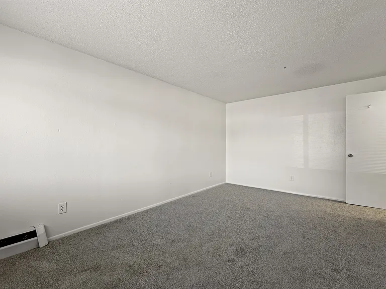 18 Ash Ct — Photo 31