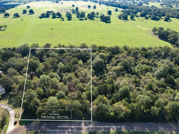 LOT 1 Bogota Dr, Iola, TX 77861