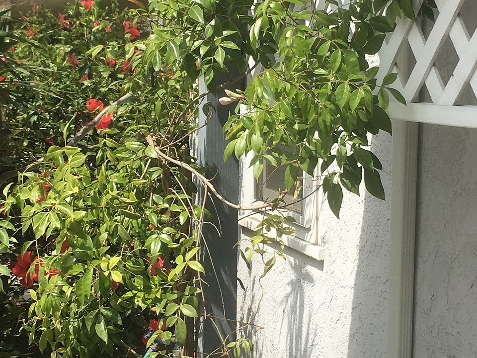 2nd image of 18404 Roslin Ave