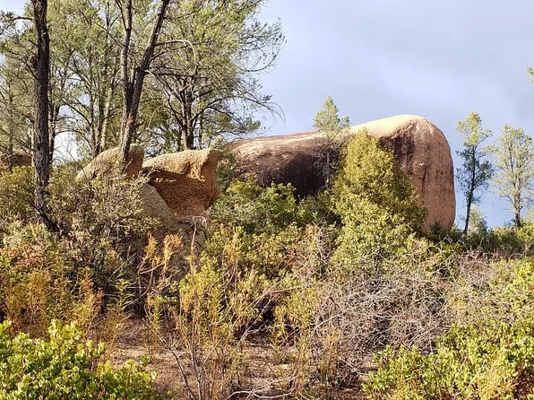 1100 S Sutton Rd, Payson, AZ 85541