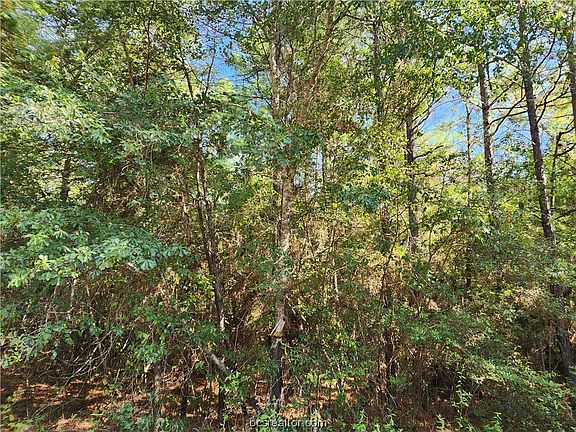 3rd image of LOT 17 Tawnyberry Ln