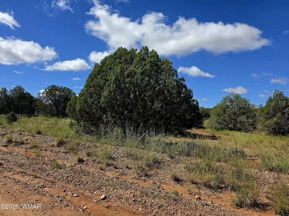 4428 Colt Rd, Snowflake, AZ 85937