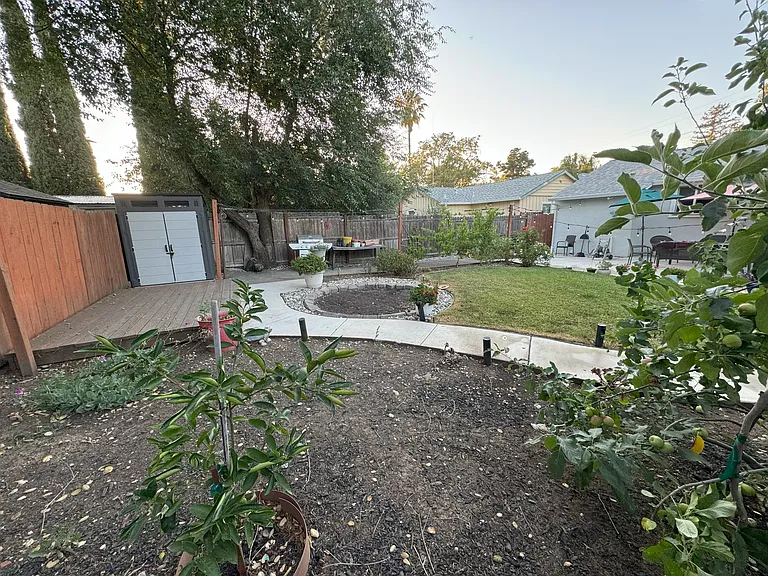 Backyard