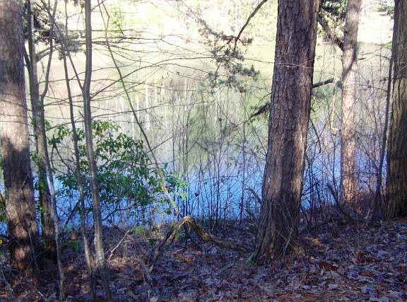 3rd image of 360 Trout Pond Cir