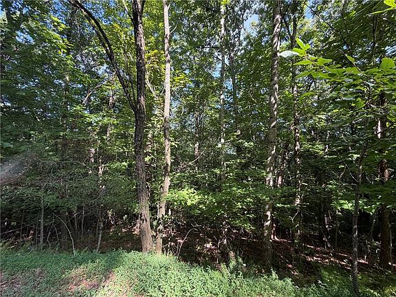 4th image of 5 Mill Ridge Rd #5